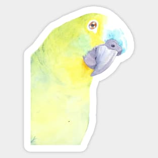 blue fronted amazon watercolor bird Sticker